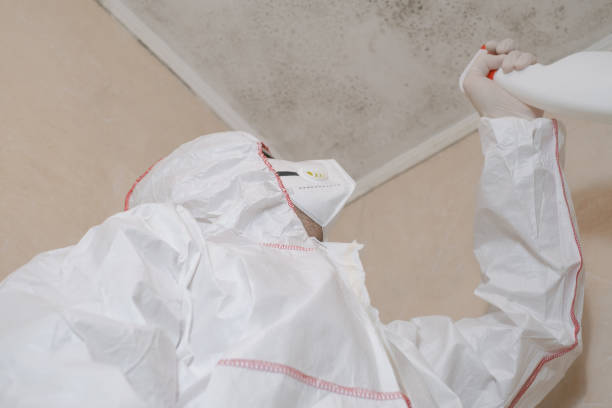 Best Mold Removal Company Near Me  in Woodacre, CA