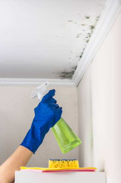 Best Crawl Space Mold Removal  in Woodacre, CA
